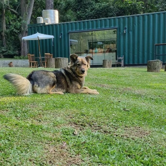 Casa Container Na Represa De Guarapiranga! Sonho! Villa San Paolo Esterno foto