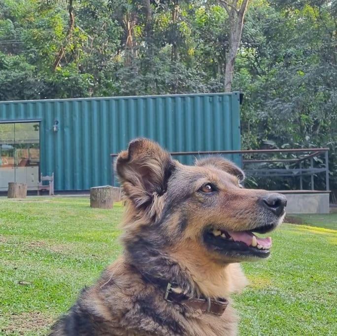 Casa Container Na Represa De Guarapiranga! Sonho! Villa San Paolo Esterno foto